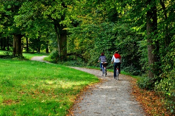landscape-tree-nature-forest-walking-hiking-686550-pxhere.com
